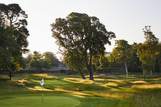 Golf at Goodwood - The Copse Course - photo 6