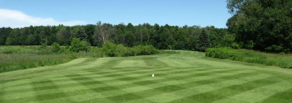 Mulberry Hills Golf Club - photo 4