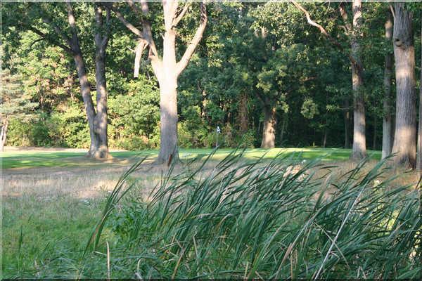 Chikaming Country Club - photo 2