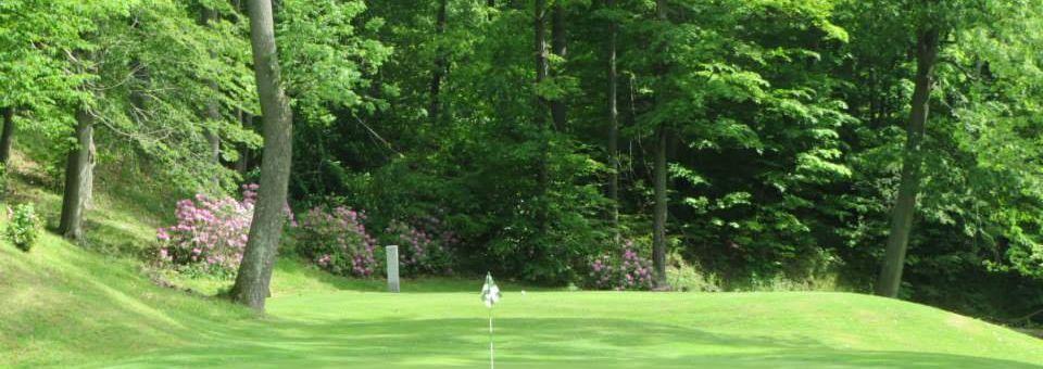 Maple Ridge Golf Course - photo 4