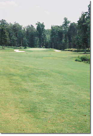 The Colonial Golf Course - photo 2
