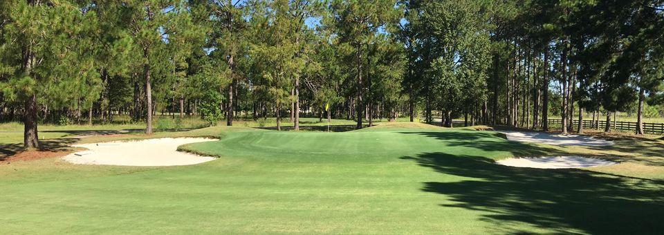 Blueberry Plantation Golf and Country Club - photo 3