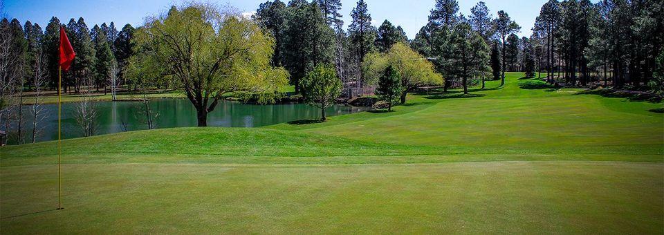 Pinetop Lakes Golf & Country Club - photo 6