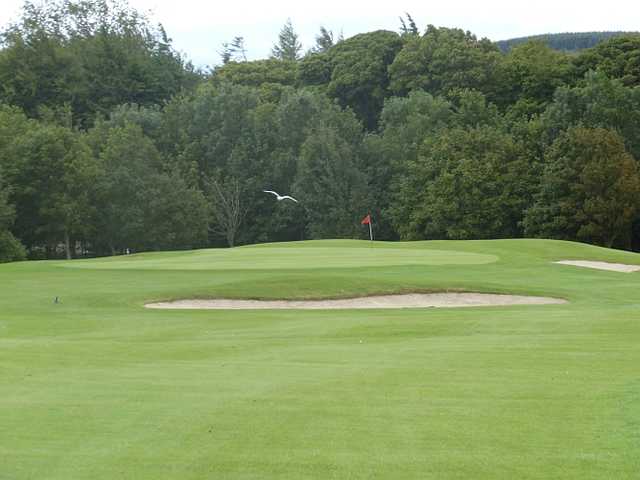 Glencullen - photo 1