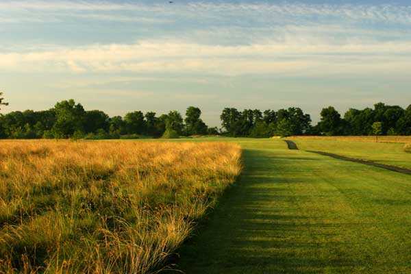 Royal Hylands Golf Club - photo 6