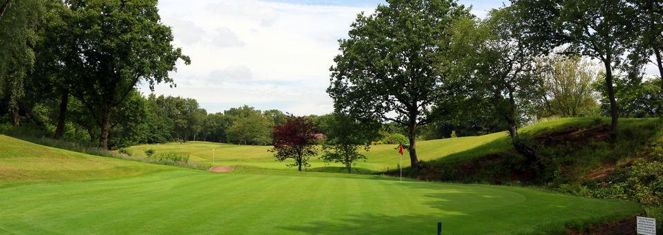 Ellesmere Golf Club - photo 8