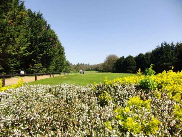 Wexham Park Golf Centre - Blue (main) Course - photo 5