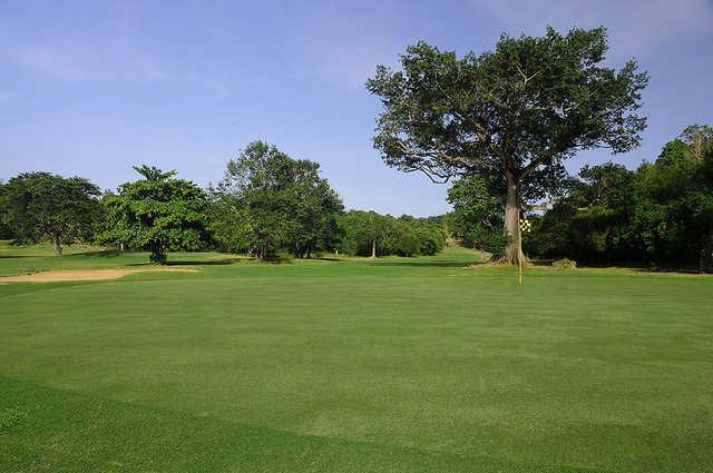 Caymanas Golf Club - photo 3