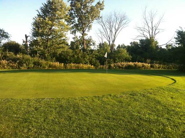 Sultana Par-3 - photo 2