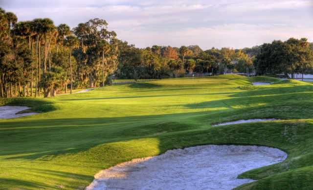 Palm Harbor Golf Club - photo 5