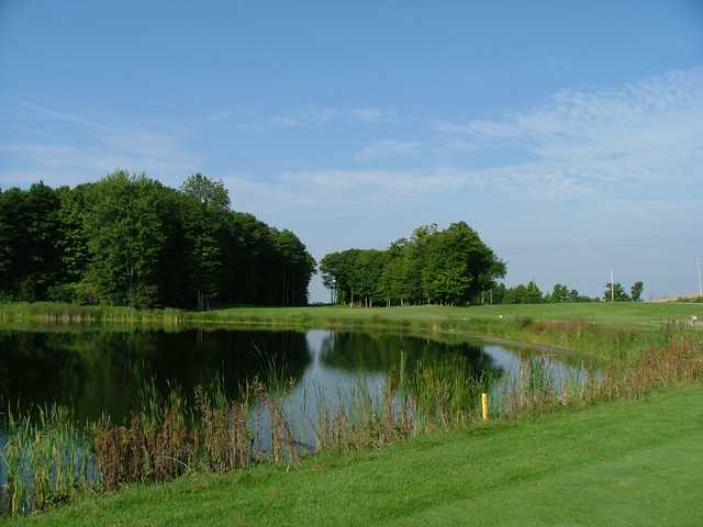 Royal Stouffville Executive