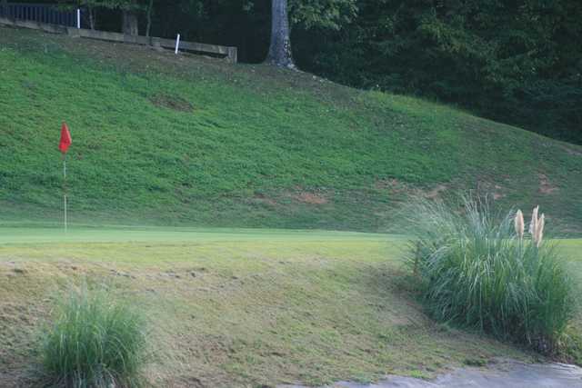 Shiloh Falls Golf Club - photo 2