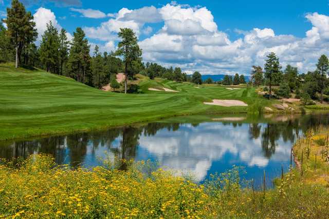 The Rim Golf Club - photo 2