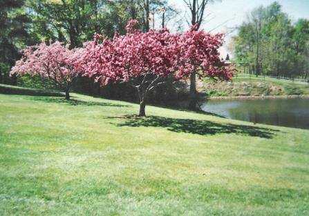 Union City Country Club, Inc - photo 3