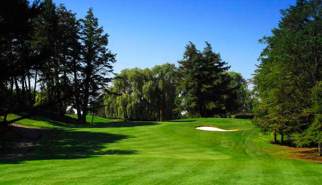 Cherry Downs - photo 1
