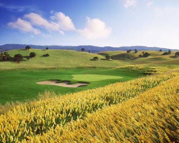 Deer Ridge - photo 5