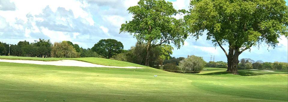 Miccosukee Golf and Country Club - photo 3