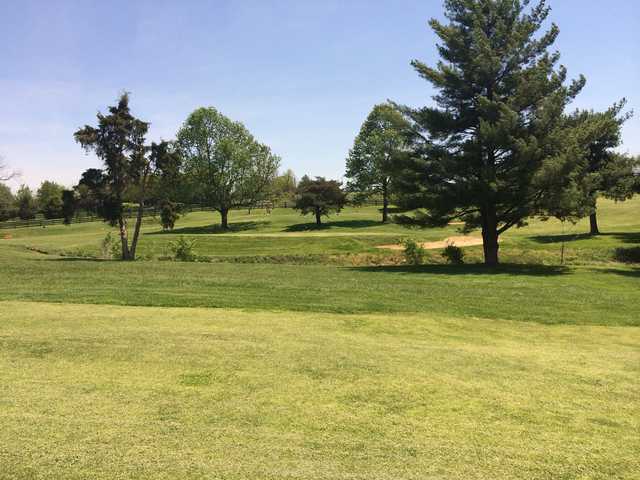 The Woodford Club - photo 2