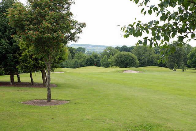 Castlewarden Golf Club - photo 5