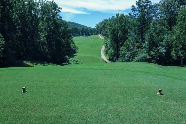Hampton Golf Village - photo 4