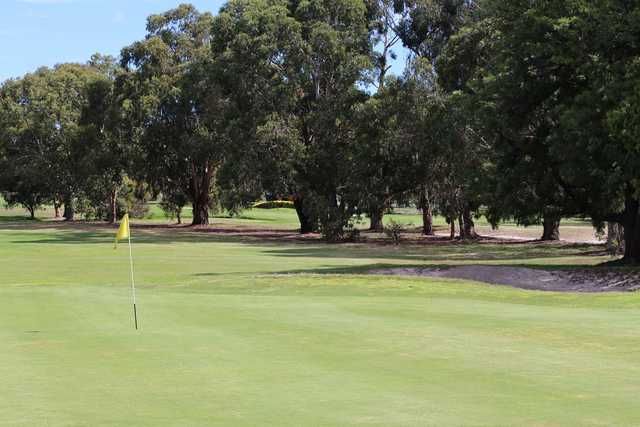 Spring Park Golf Course - photo 7