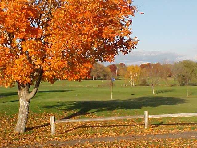 Majestic Oaks - Crossroads - photo 6