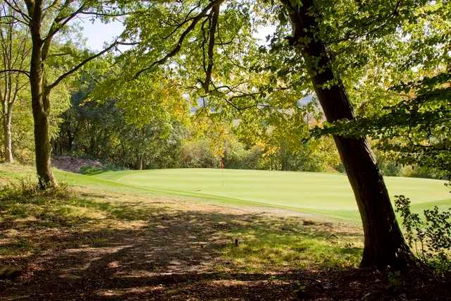 Chartridge Park Golf Club - photo 4