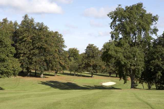 Shendish Manor Hotel and Golf Course - photo 4