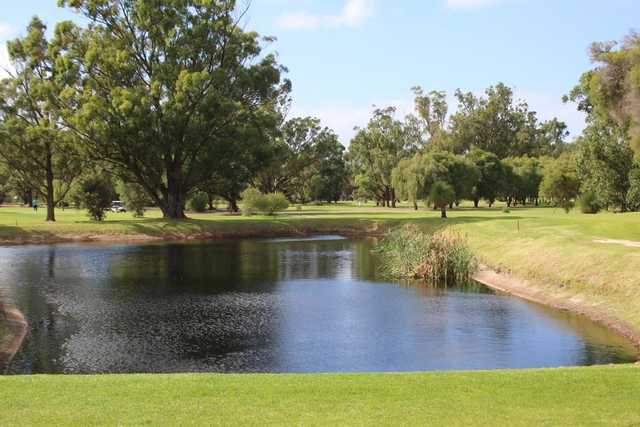 Pinjarra Golf Club - photo 3