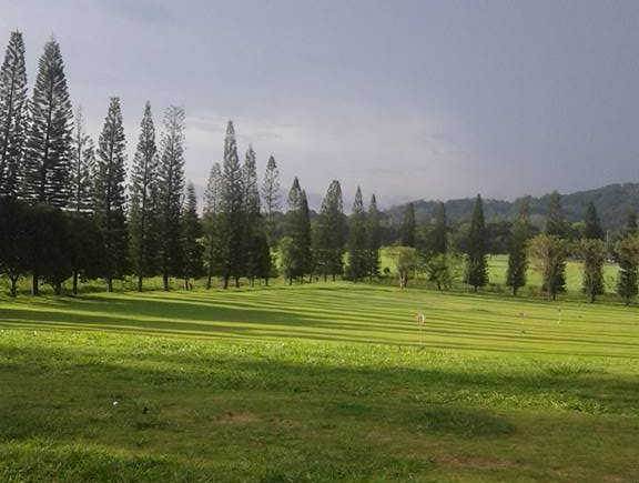Delmont Golf Course