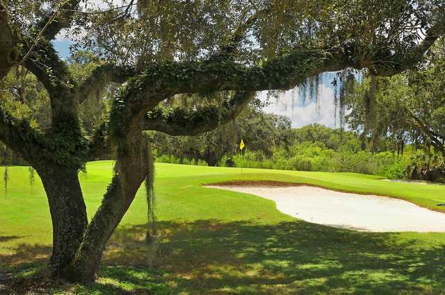Misty Creek Country Club - photo 2