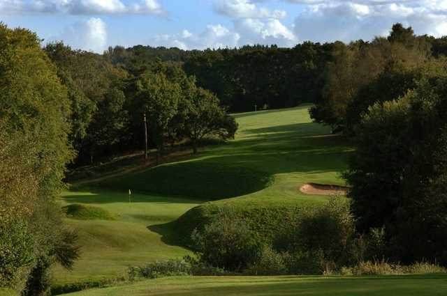 Mannings Heath Golf Club - The Waterfall Course - photo 5