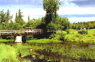 Pinewood Country Club - photo 8