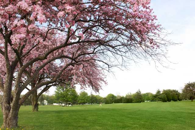 Bowling Green Country Club - Ohio