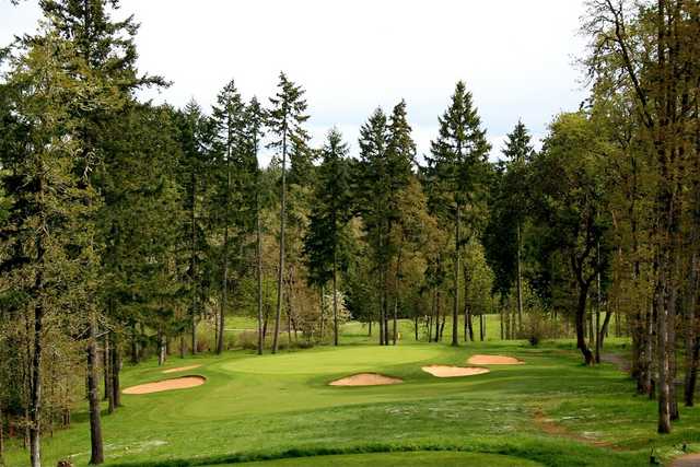 Diamond Woods