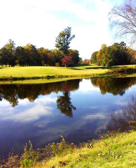 Ford's Colony Country Club - Blue Heron - photo 4