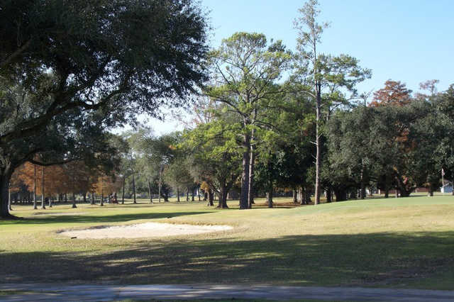 Southern Oaks - photo 3