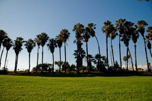 Dad Miller Golf Course - photo 2