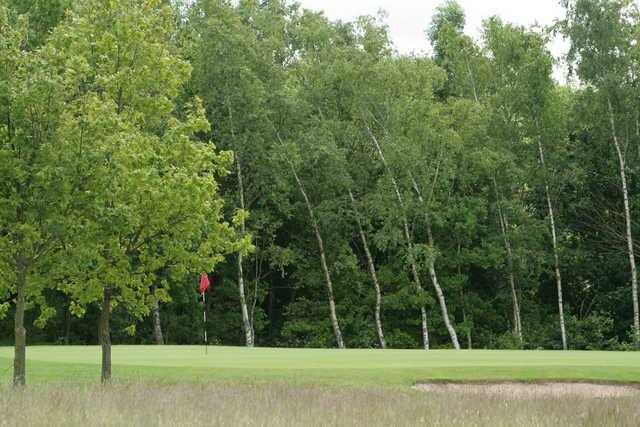 South Chesterfield Golf Club - photo 3