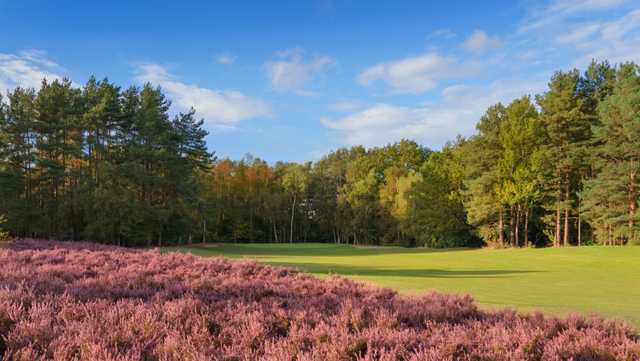 Tilgate Forest Golf Centre - photo 5