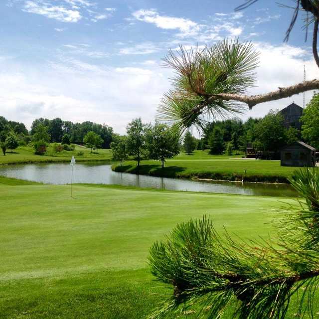 The New Course