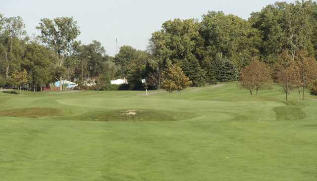 Taylor Meadows - photo 2
