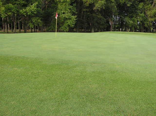 The Cove Creek Club - photo 2
