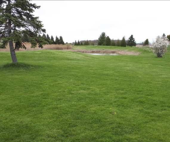 Royal 47 Golf Club - photo 2