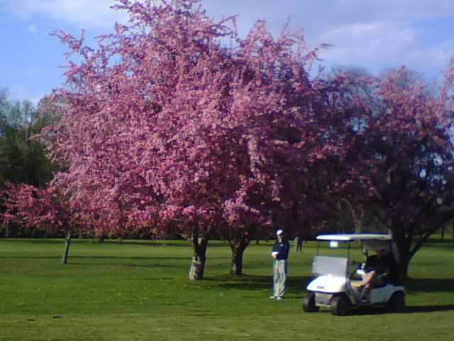 Wells College Golf Course