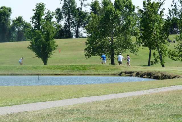 Hickman - photo 2