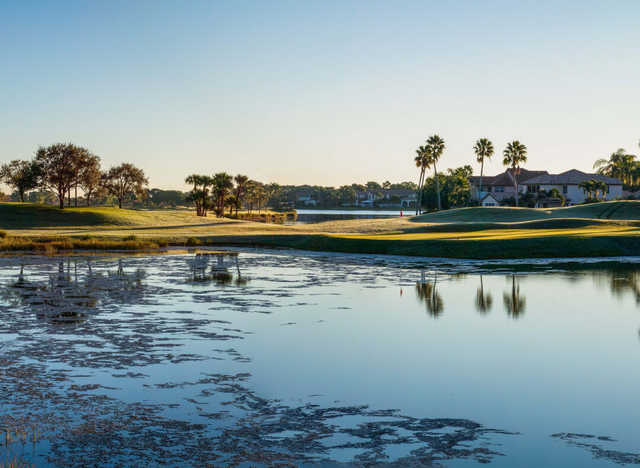 PGA National - The Champion