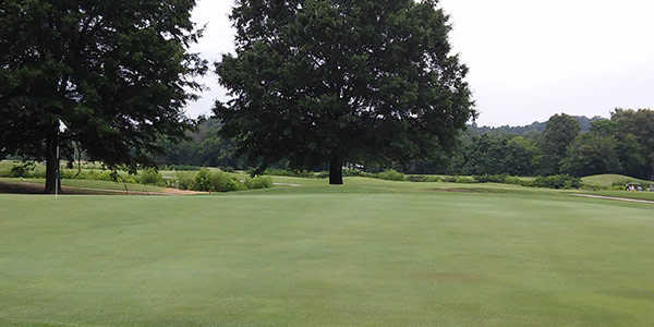 Egwani Farms Golf Course - photo 5