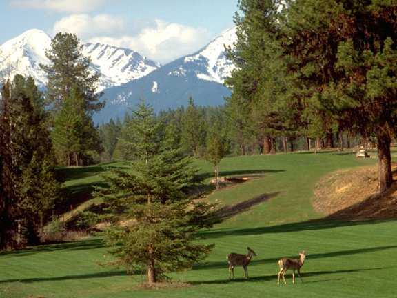 Double Arrow Lodge - photo 3