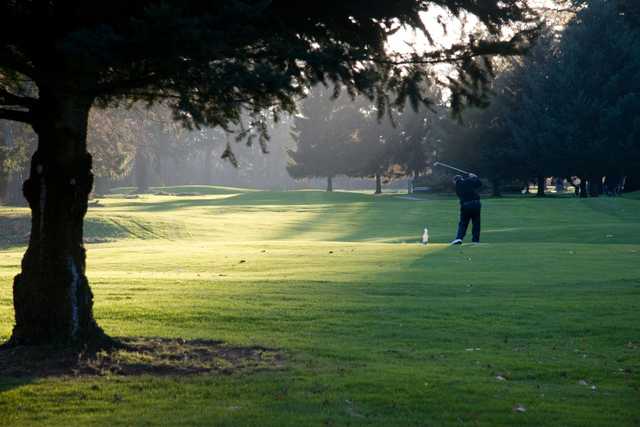 Bellingham Golf & Country Club - photo 2